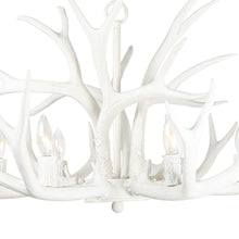 Load image into Gallery viewer, Antler Chandelier in Detail.

