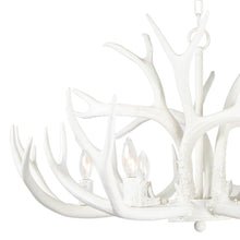 Load image into Gallery viewer, Antler Chandelier in Detail.
