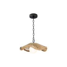 Load image into Gallery viewer, Coastal Living Provence Cafe Pendant Light (Small).

