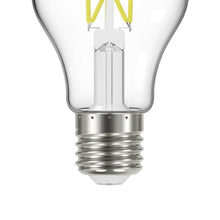 Load image into Gallery viewer, Edison Style Medium Base A Type LED Bulb in Detail.
