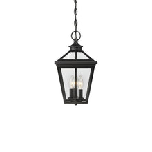 Load image into Gallery viewer, Ellijay Outdoor Pendant Light.
