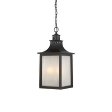 Load image into Gallery viewer, Monte Grande Outdoor Pendant Light in English Bronze.
