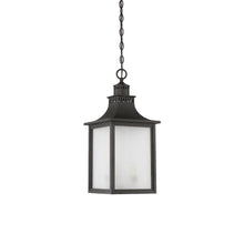 Load image into Gallery viewer, Monte Grande Outdoor Pendant Light in Detail.
