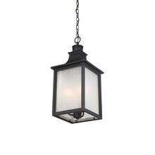 Load image into Gallery viewer, Monte Grande Outdoor Pendant Light in Detail.
