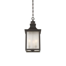 Load image into Gallery viewer, Monte Grande Outdoor Pendant Light in Detail.
