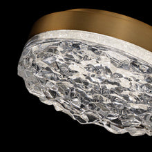 Load image into Gallery viewer, Bramble LED Flush Mount Ceiling Light in Detail.
