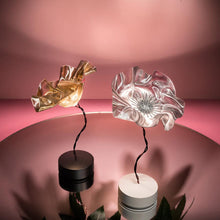 Load image into Gallery viewer, Lafleur LED Table Lamp in exhibition.
