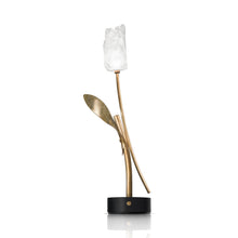 Load image into Gallery viewer, Tulip LED Table Lamp in Black.
