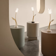 Load image into Gallery viewer, Tulip LED Table Lamp in Detail.
