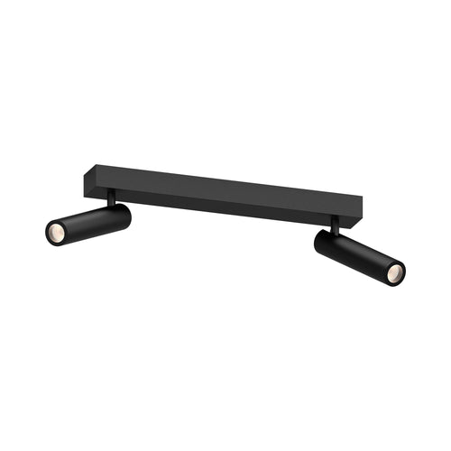Haim Aimable LED Double Flush Mount Ceiling Light.