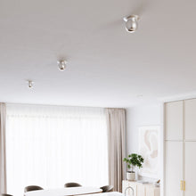 Load image into Gallery viewer, Hemisphere LED Flush Mount Ceiling Light in living room.
