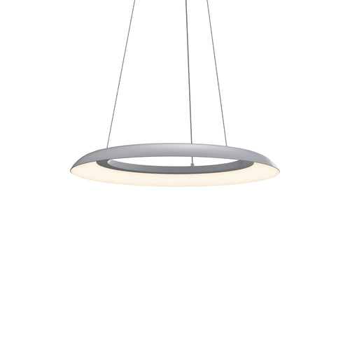 Torus™ LED Pendant Light.