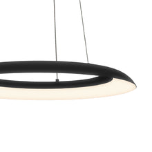 Load image into Gallery viewer, Torus™ LED Pendant Light in Detail.

