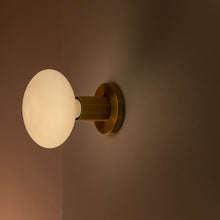 Load image into Gallery viewer, Lochan Oval Outdoor Wall Light in Detail.

