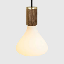 Load image into Gallery viewer, Noma Pendant Light in Detail.
