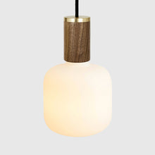 Load image into Gallery viewer, Oblo Pendant Light in Detail.

