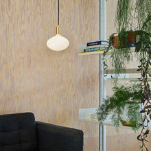 Load image into Gallery viewer, Oval II Medium Base R65 Type LED Bulb in living room.
