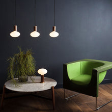 Load image into Gallery viewer, Oval Pendant Light in living room.
