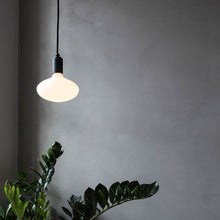 Load image into Gallery viewer, Oval Pendant Light in Detail.
