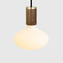 Load image into Gallery viewer, Oval Pendant Light in Detail.
