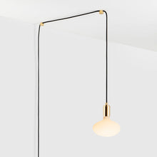 Load image into Gallery viewer, Oval Plug-In Pendant Light in Detail.
