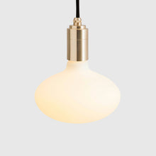 Load image into Gallery viewer, Oval Plug-In Pendant Light in Detail.
