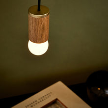 Load image into Gallery viewer, Sphere I G16 Type LED Bulb in Detail.
