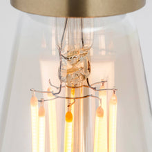 Load image into Gallery viewer, Squirrel Cage Medium Base ST20 Type LED Bulb in Detail.
