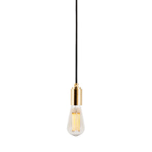 Load image into Gallery viewer, Squirrel Cage Plug-In Pendant Light.
