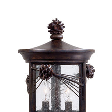 Load image into Gallery viewer, Abbey Lane Outdoor Post Light in Detail.
