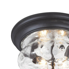 Load image into Gallery viewer, Ardmore Outdoor Flush Mount Ceiling Light in Detail.
