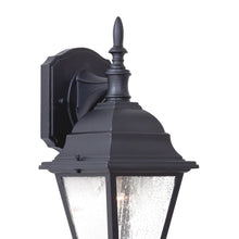 Load image into Gallery viewer, Bay Hill Outdoor Wall Light in Detail.
