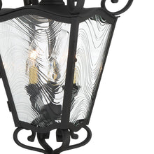 Load image into Gallery viewer, Brixton Ivey Outdoor Pendant Light in Detail.
