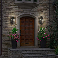 Load image into Gallery viewer, Brixton Ivey Outdoor Wall Light in Outside Area.
