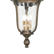 Load image into Gallery viewer, Havenwood Outdoor Pendant Light in Detail.
