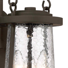 Load image into Gallery viewer, Haverford Grove Outdoor Wall Light in Detail.
