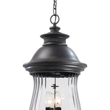 Load image into Gallery viewer, Newport Outdoor Pendant Light in Detail.
