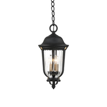 Load image into Gallery viewer, Peale Street Outdoor Pendant Light.
