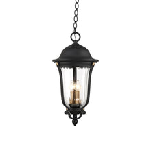 Load image into Gallery viewer, Peale Street Outdoor Pendant Light (4-Light).
