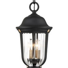 Load image into Gallery viewer, Peale Street Outdoor Pendant Light in Detail.
