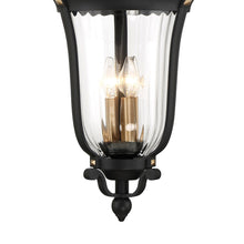 Load image into Gallery viewer, Peale Street Outdoor Pendant Light in Detail.
