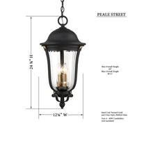 Load image into Gallery viewer, Peale Street Outdoor Pendant Light - Line Drawing.
