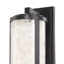 Load image into Gallery viewer, Salt Creek Outdoor LED Wall Light in Detail.
