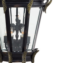 Load image into Gallery viewer, Stratford Hall Outdoor Pendant Light in Detail.
