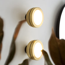 Load image into Gallery viewer, Molly LED Ceiling / Wall Light in Detail.

