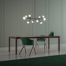 Load image into Gallery viewer, Nabila Chandelier in dining room.
