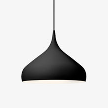 Load image into Gallery viewer, Spinning Pendant Light in Detail.
