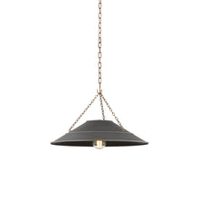 Load image into Gallery viewer, Arcane Pendant Light.
