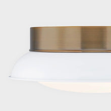 Load image into Gallery viewer, Arnie Flush Mount Ceiling Light in Detail.
