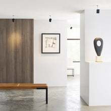 Load image into Gallery viewer, Burk Low Voltage FreeJack LED Head in living room.
